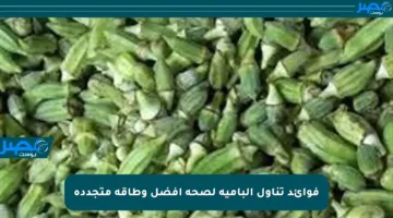 فوائد تناول البامية لصحة أفضل وطاقة متجددة